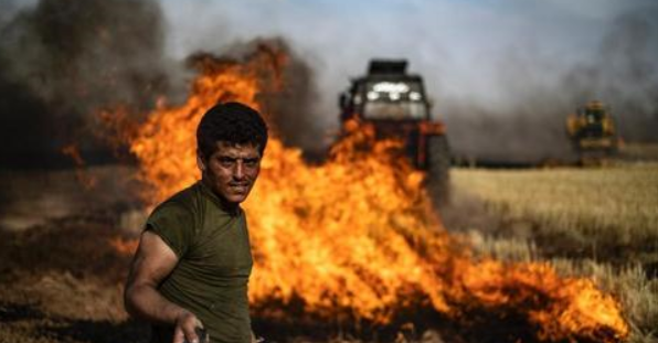 丧尽天良！不仅放火烧毁2000公亩小麦，美军还开