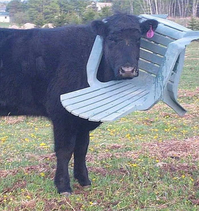 中国两大休闲之都，楼市表现，东方不亮西方亮