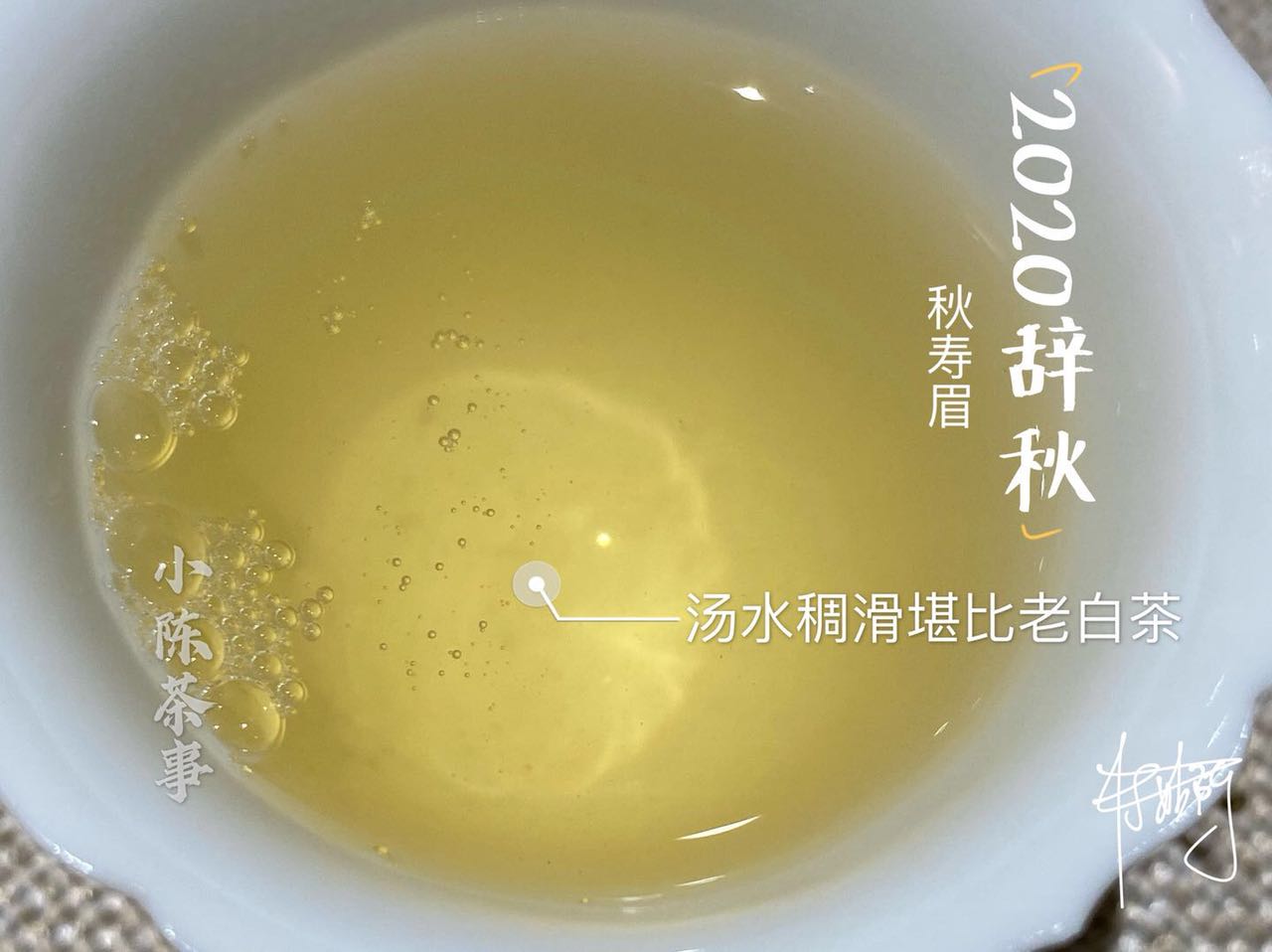 為什么白茶要從壽眉喝起？3個理由，作為入門白茶夠不夠格？