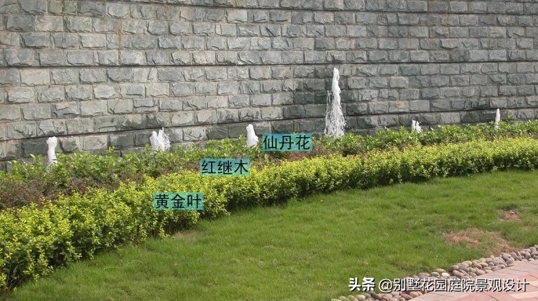 別墅庭院常用植物分享，附照片及名字標(biāo)注（珍藏版）