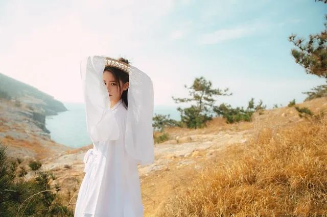 王晶官宣翻拍《倚天屠龙记》：求求你们，放过