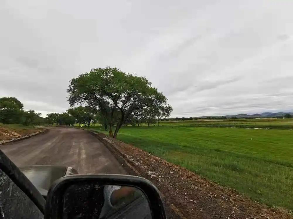 The most beautiful photograph in journey, it is so outside car window