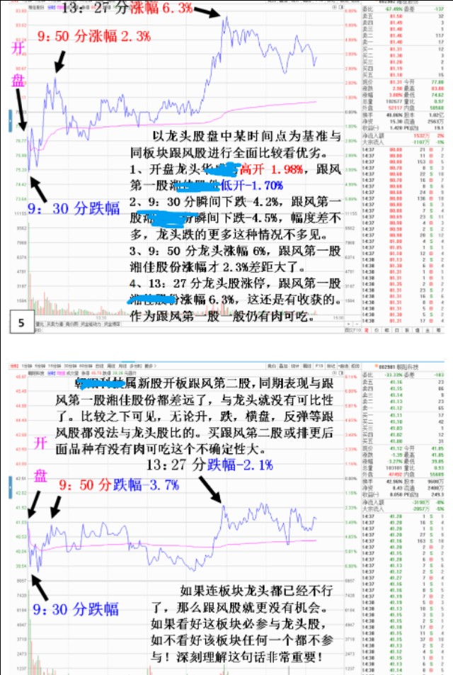 龙头股与同板块其他个股同时段的表现状况，从