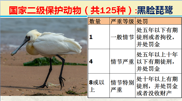 国家最新125类二级野生保护名录，图片及违法对应刑责