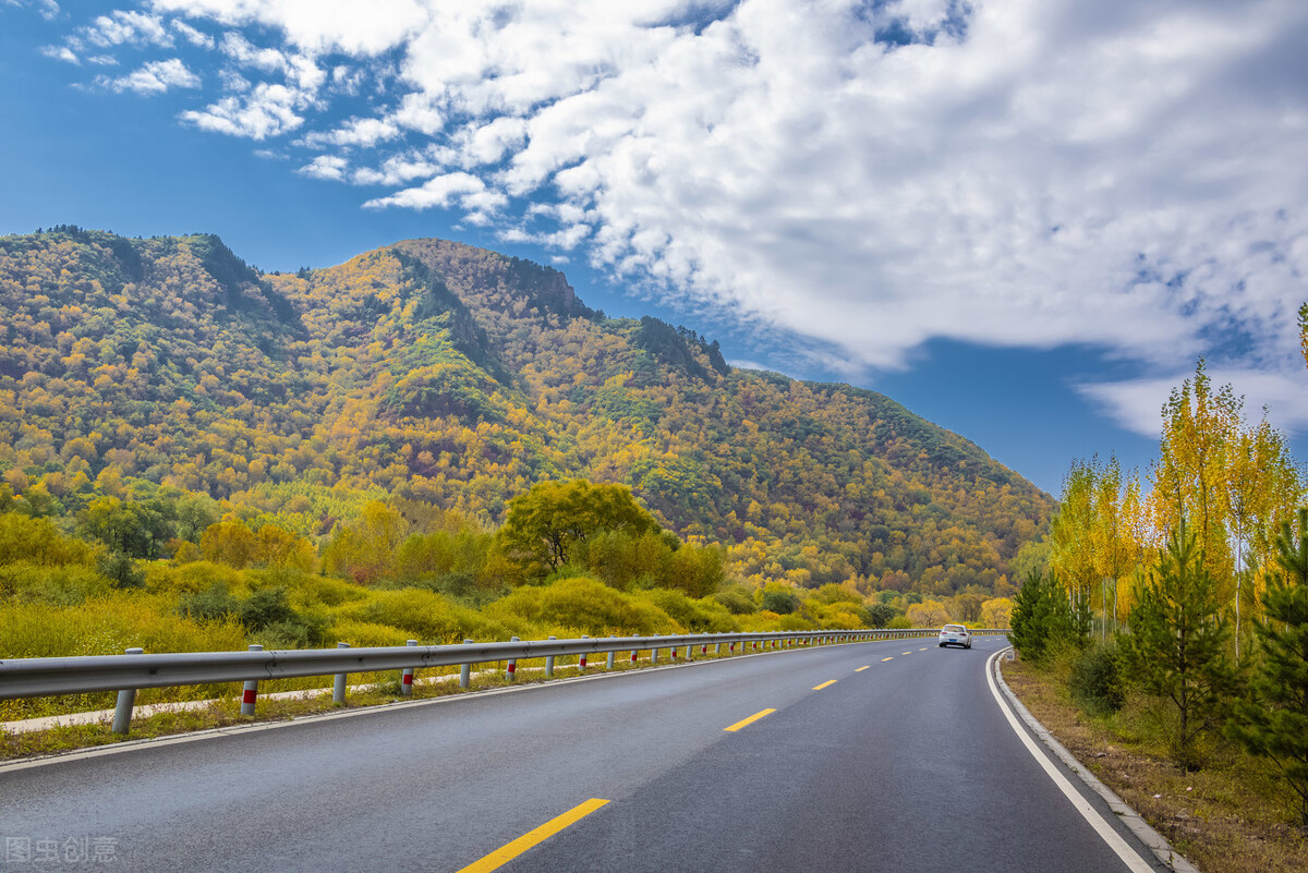 国道239,全长180公里,是国内首条国家层面注册的风景道,而且不收费