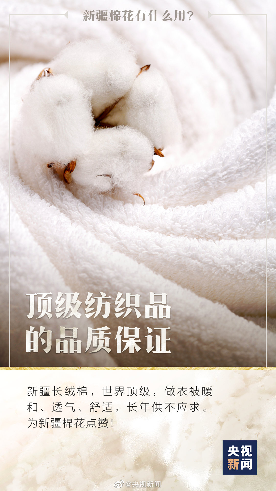 Xinjiang half an year takes out pestilence of war of nearly 3 million tons of cotton