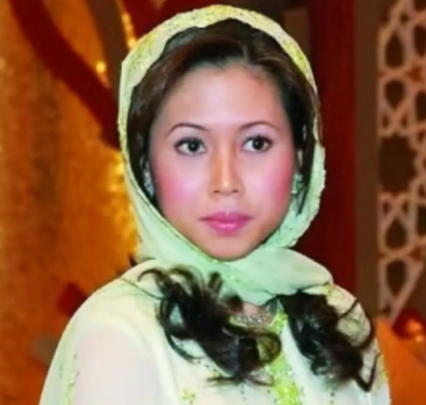 文莱二王妃空姐出身,生2子2女与王后平起平坐,小儿子比吴尊帅气