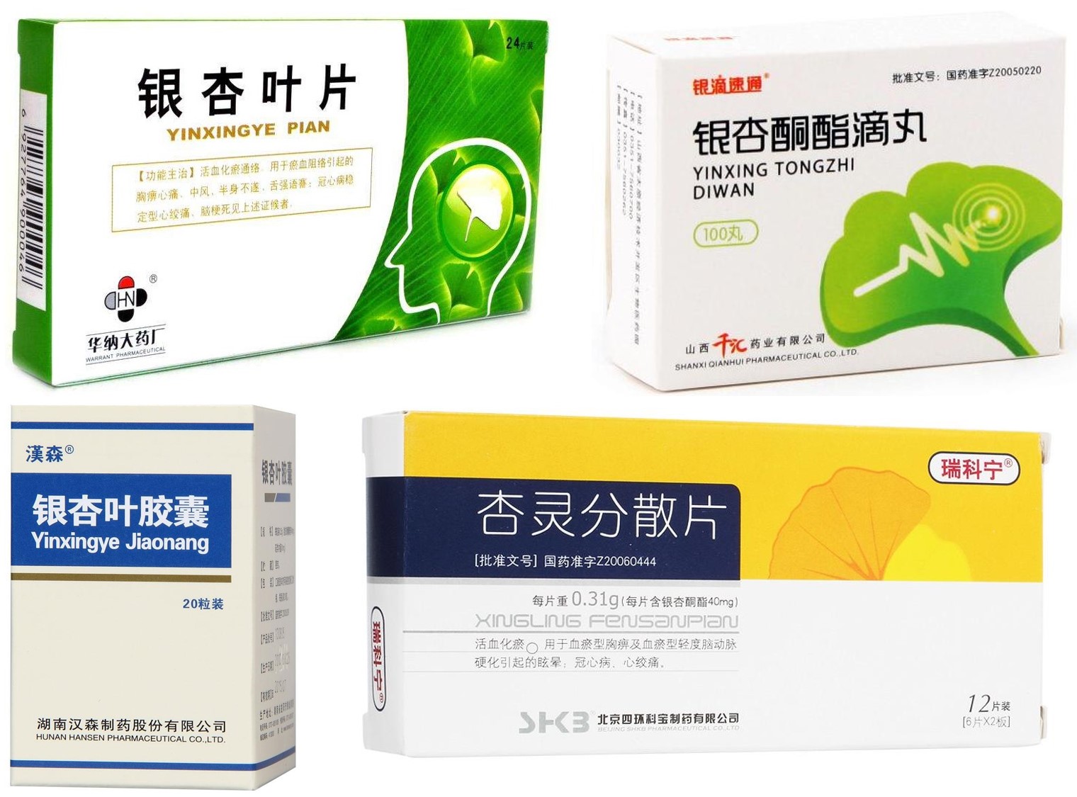 银杏的药物应用：叶、种子、口服剂、注射剂