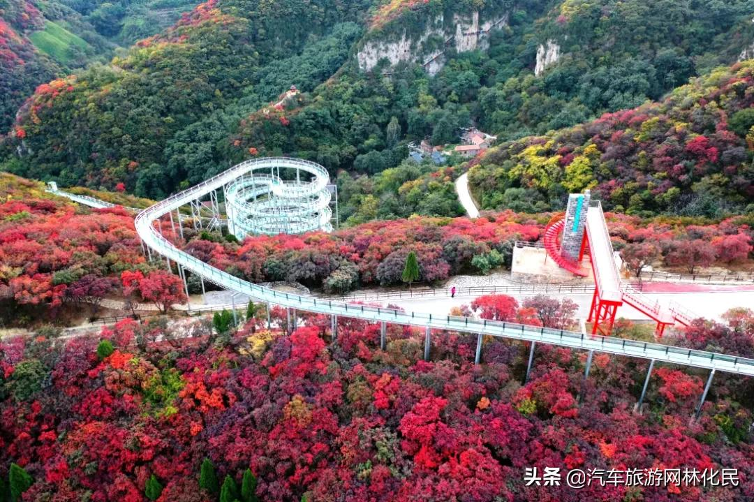 绿水青山带笑颜鲁商 • 红叶柿岩纯玩一日游