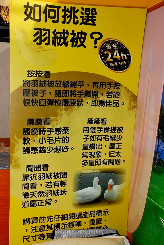 看完博士鸭，变成鸭博士