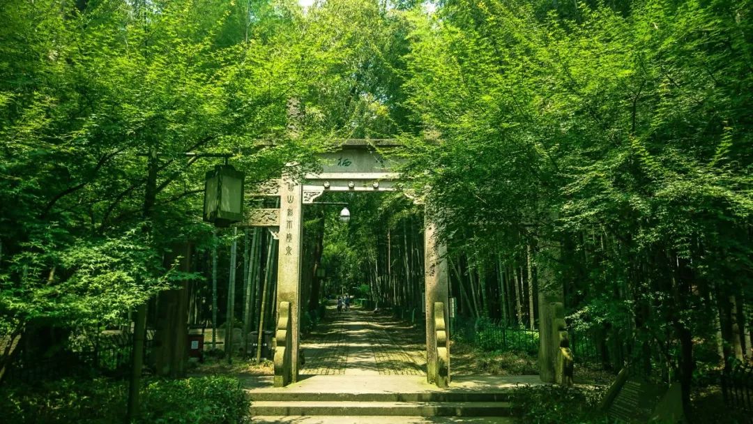 100首夏日诗词，带你清凉一夏-第7张图片-非凡网