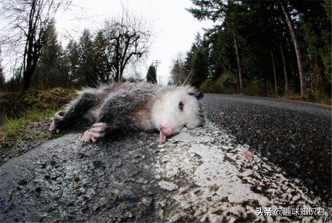 生活中有趣的冷星空体育官网入口网站，跟著我一起漲星空体育官网入口网站吧