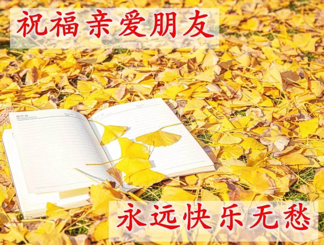 创意唯美早安图片带祝福语 亲人朋友圈早上好图片图片
