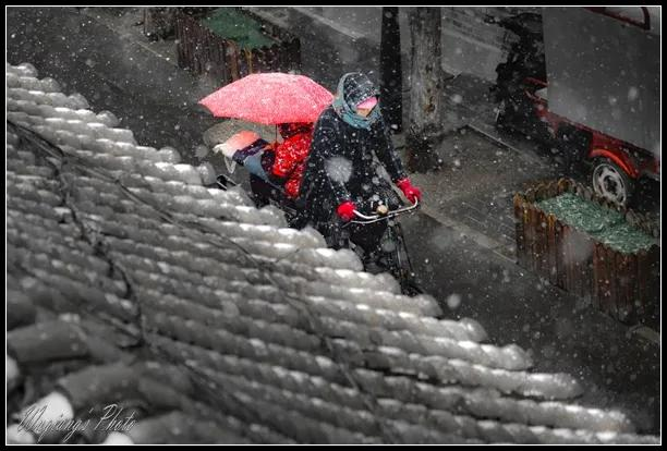 津门网吴强:《光影四九城》之三十八红墙白雪