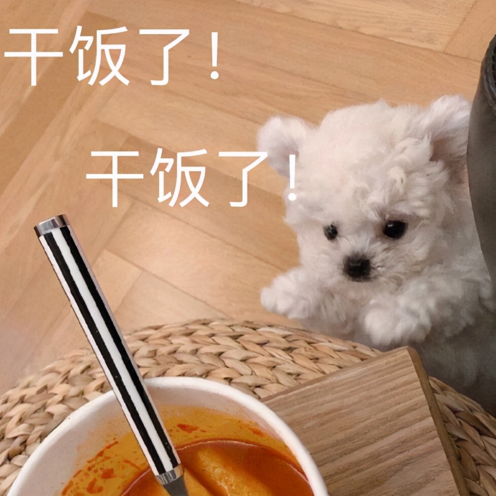 Special expression hires person of 12.18 Piao cooked rice, which have the boy or girl friend cooked rice is aromatic