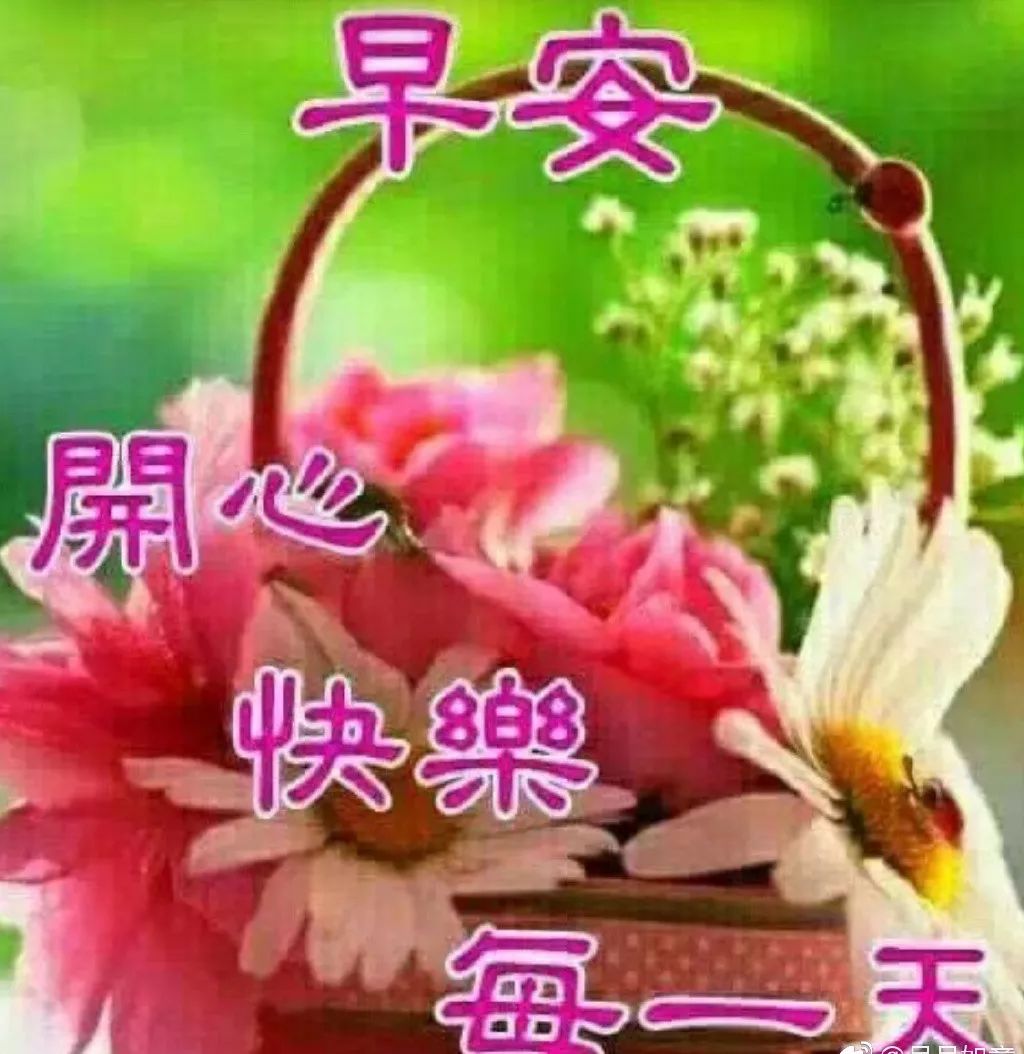微信新版特别漂亮早上好动态图片带字 清晨问候早上好句子大全图片
