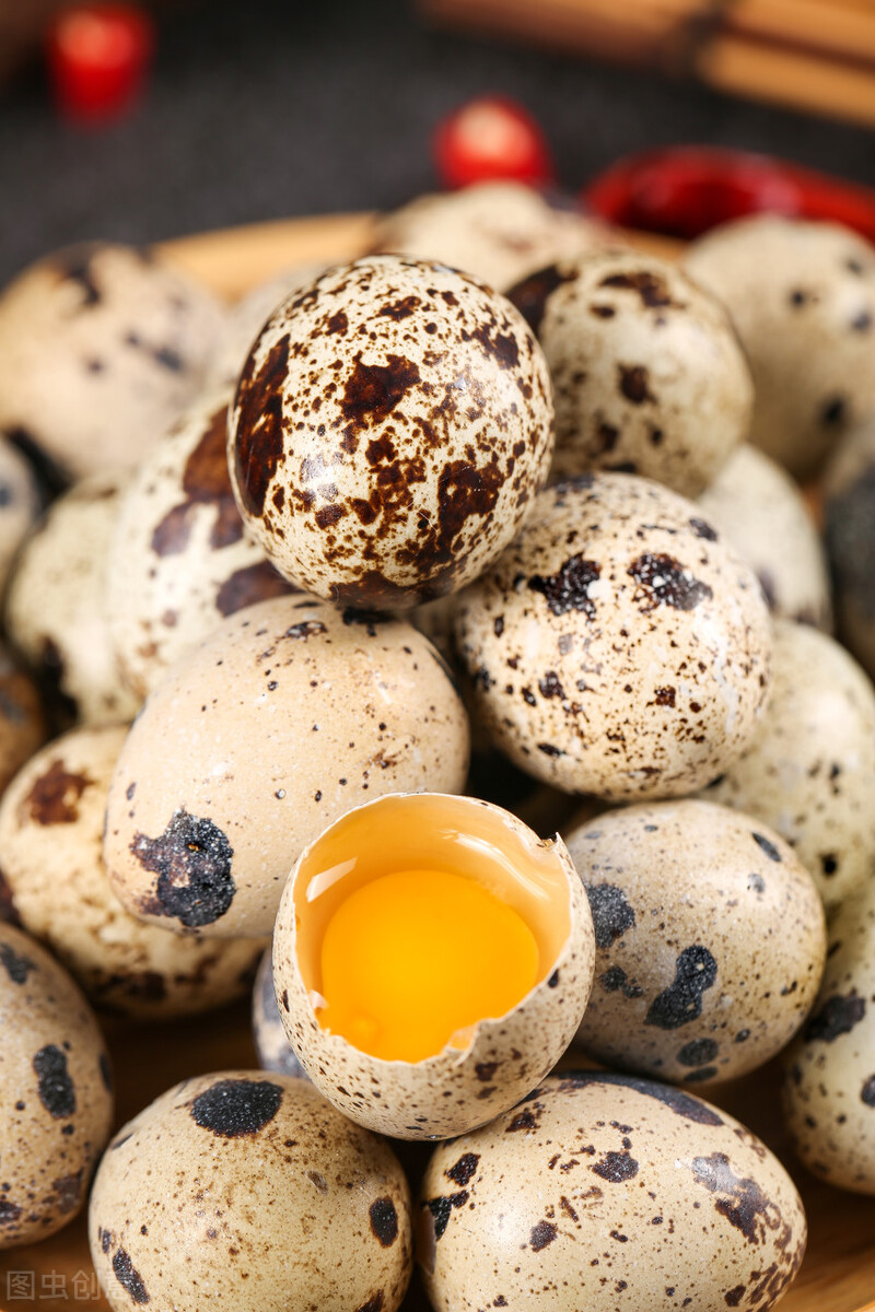 do-fresh-eggs-make-you-poop-at-william-finch-blog