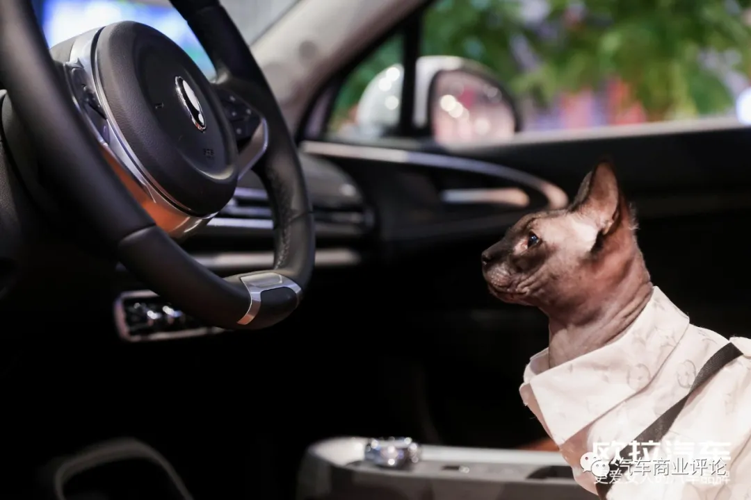 品牌力、产品力、营销力齐UP,欧拉冲击更高阶市场