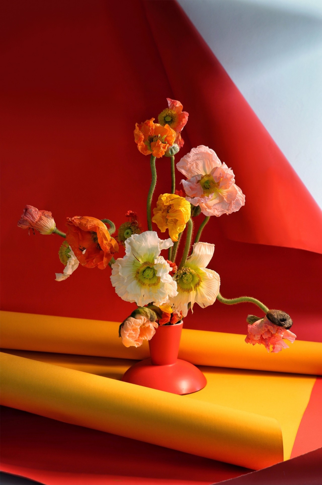 像他一样玩转色彩 你的花礼也会有 买不起 的感觉 中国花卉报 Mdeditor