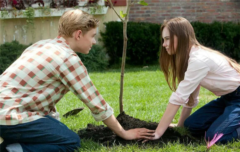 沙特公主米莎尔，出身高贵王室，最后为何却被