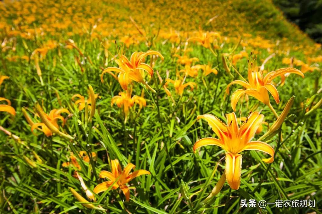 休闲农业旅游之10大顶层设计