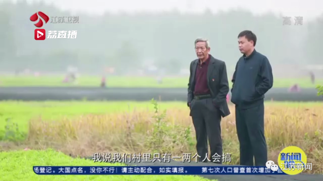 灌云“西瓜书记”第二次丰收，这次是芦蒿！小康路上，谁都不掉队