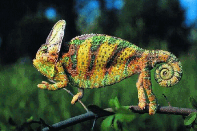 在270°视野里，远眺他人看不到的风景