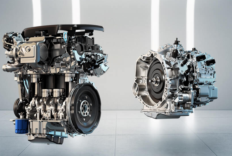 ʮ����ֻ����������������ڣ��������������͵߸���ļ��ó���׼