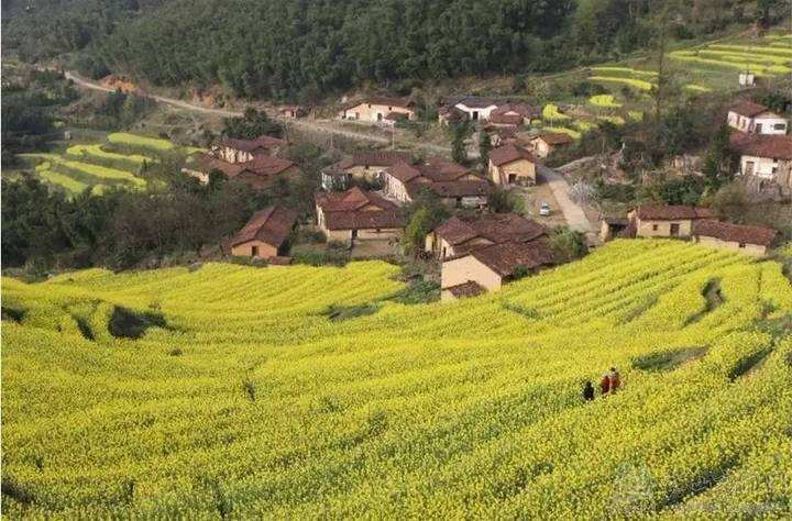 军统唯一女少将姜毅英（上）：情报提示日军可能偷袭珍珠港