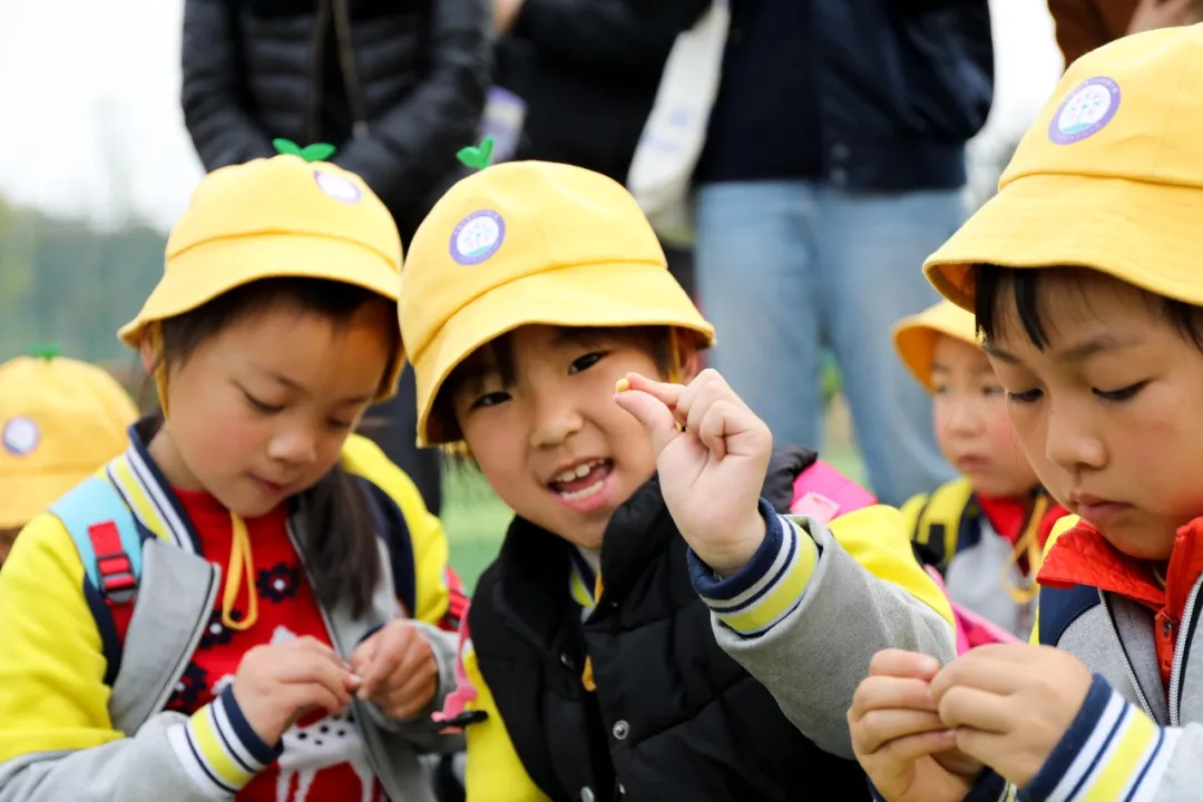 “我们”有一块地这就播种去丨天府新区元音小学劳动实践基地启动