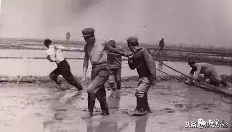 现代大案纪实：呼伦贝尔特大强奸杀人案 少年流氓杀27人强奸多人