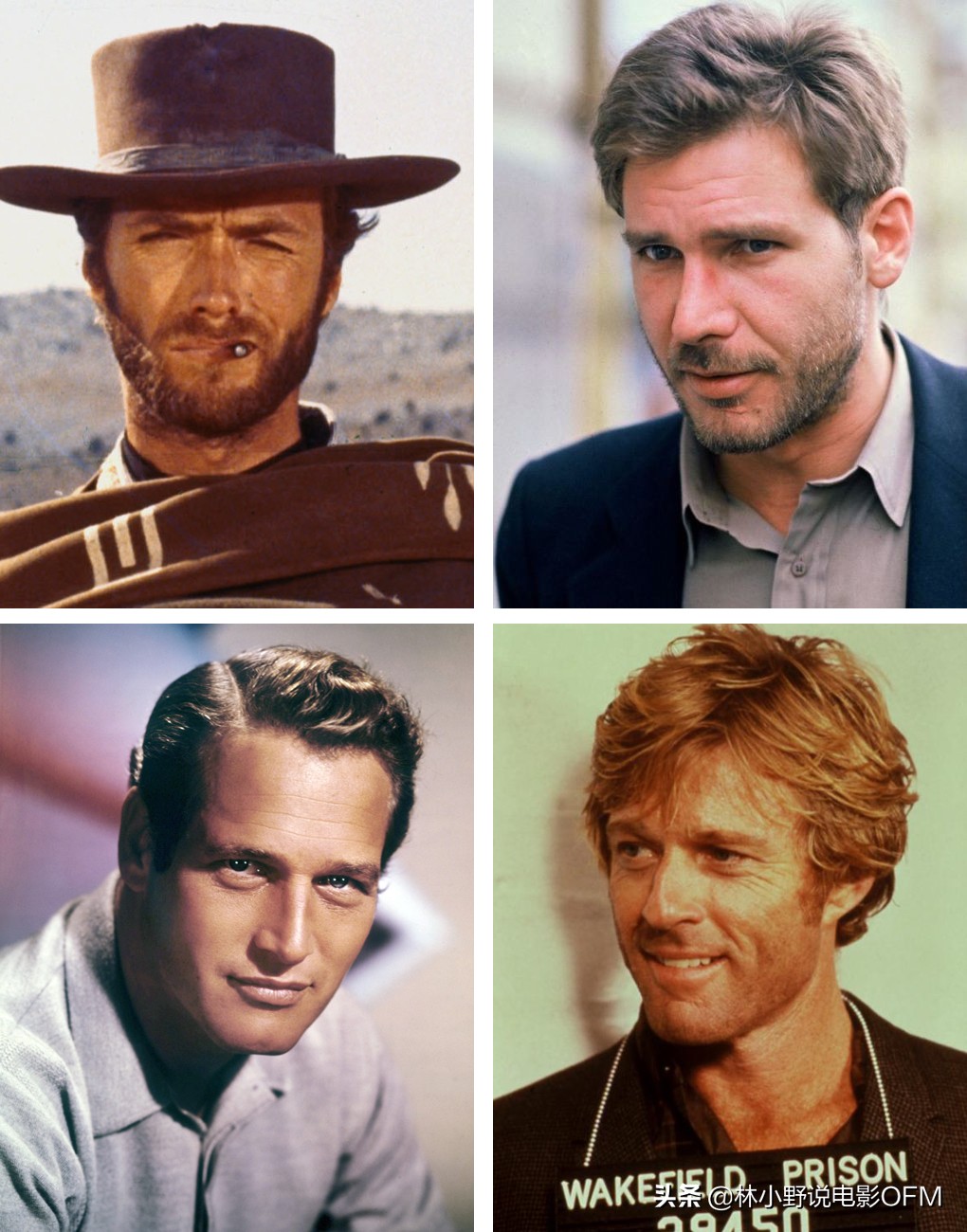 This old oak tree was struck by lightning! "Shawshank's Redemption