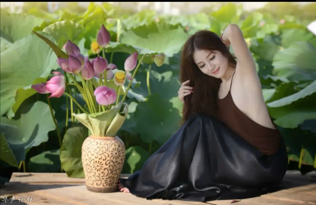 散文诗：荷塘花香