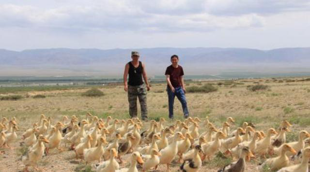 法国专家：跟不上中国人的思维，上万只鸡就解决世界性难题