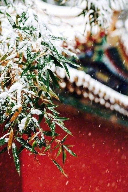 冬日，在古诗词中看雪，等一场飘雪，念一人安暖-第6张图片-非凡网