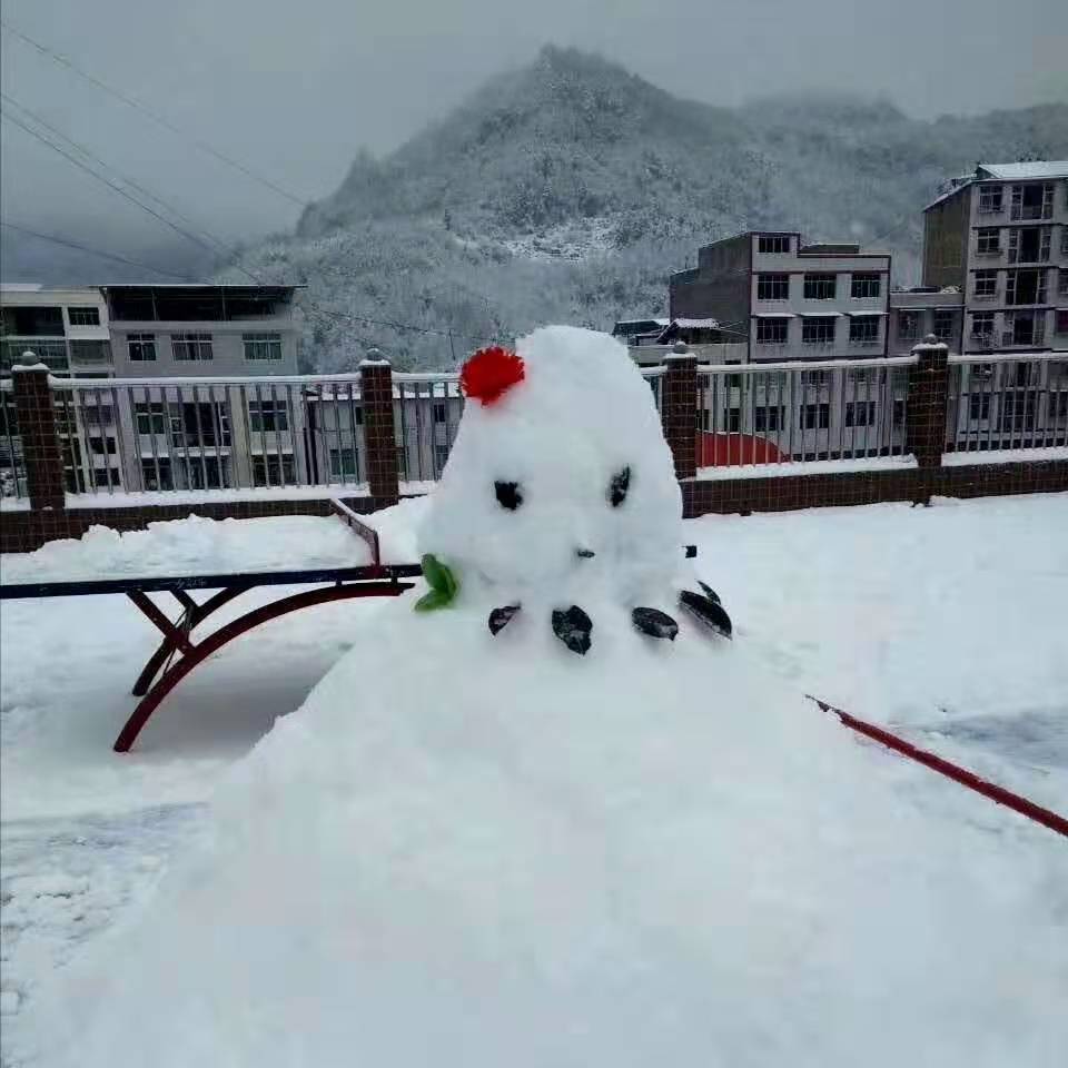 今日小雪 四川通江大雪 其他 蛋蛋赞