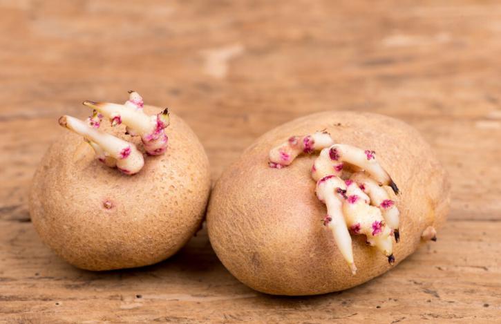 醫生提醒：肝不好，可能跟這3種蔬菜有關，轉告父母，少吃為妙