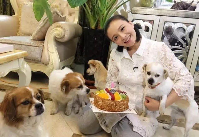 甄嬛传槿汐的扮演者是谁 《甄嬛传》槿汐嫁给富豪颂芝变整容脸