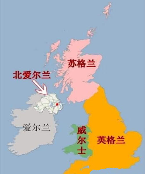 英国将焚毁10万活猪？英国人怒：没肉没奶，都快没饭吃了