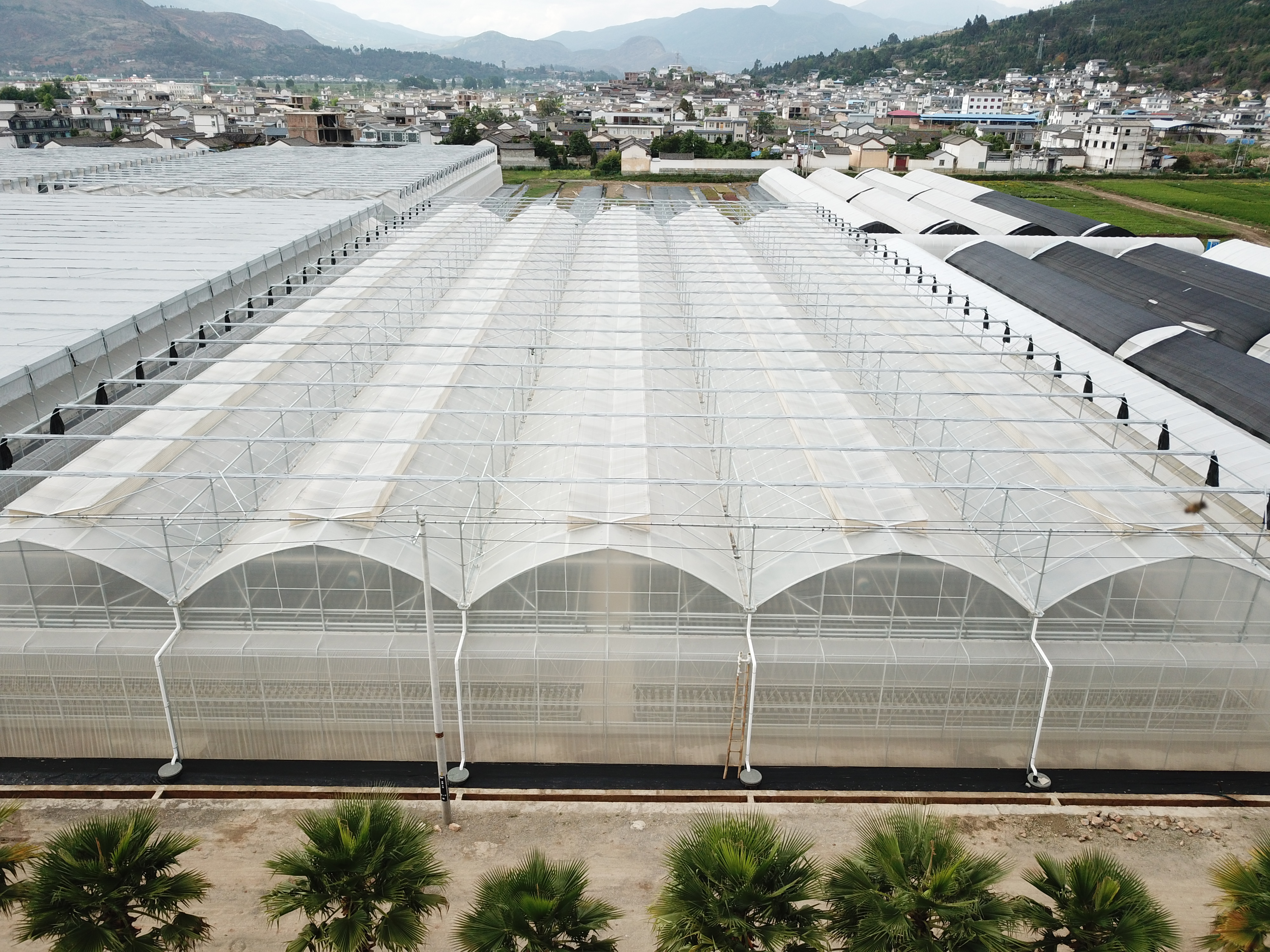 薄膜塑料温室大棚水幕保温方法你知道吗？现代农业种植妙招