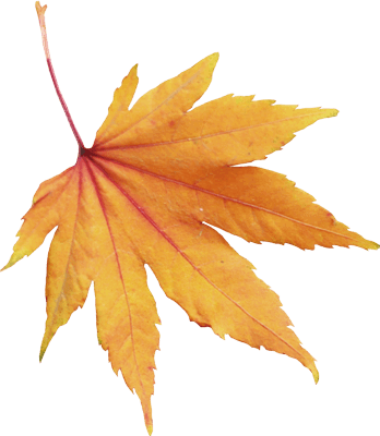 描写秋天的词语大全，关于秋的词语有哪些