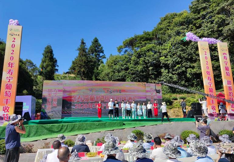 “寿宁葡萄，甜蜜的味道”2020年寿宁葡萄丰收节圆满举办成功