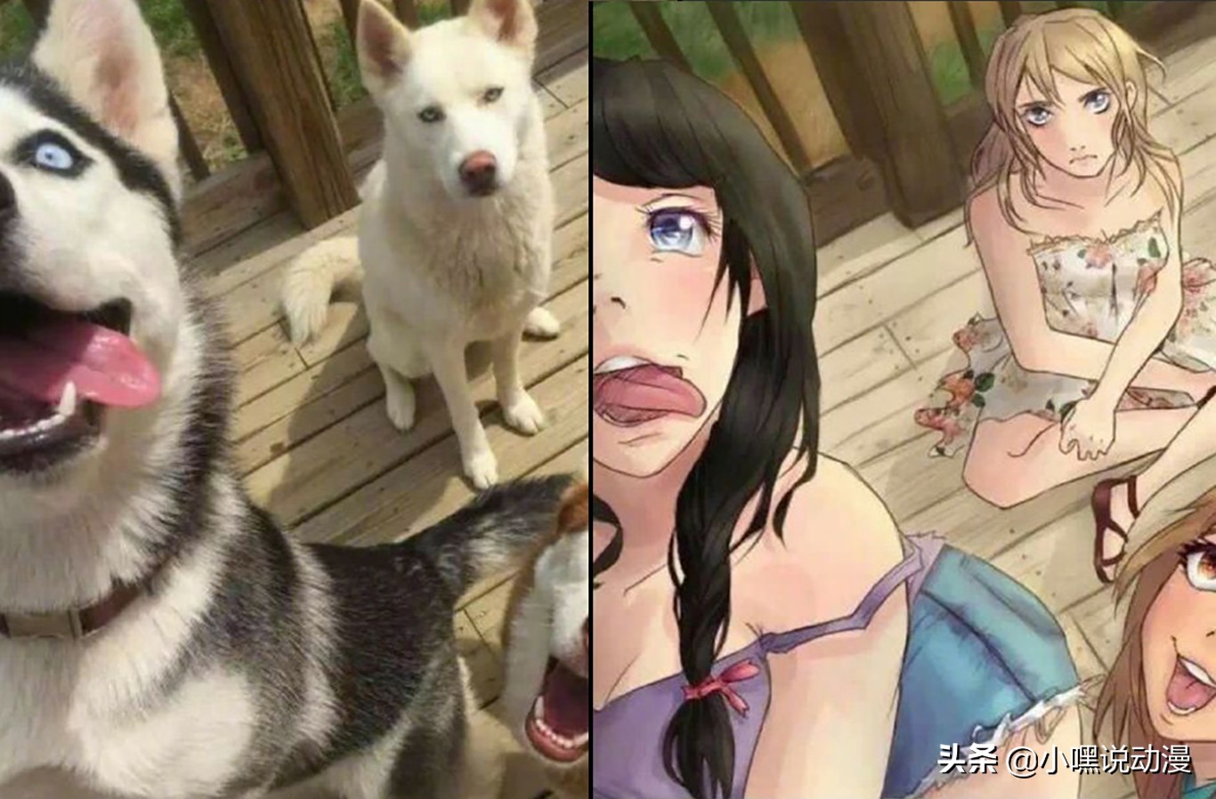 萬物皆可二次元 當現實人物被二次元化 還是紙片人女神好看 小嘿説動漫 Mdeditor