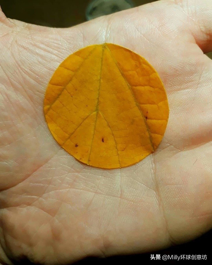 Can let force disease patient to feel 20 pieces of very slow photographs