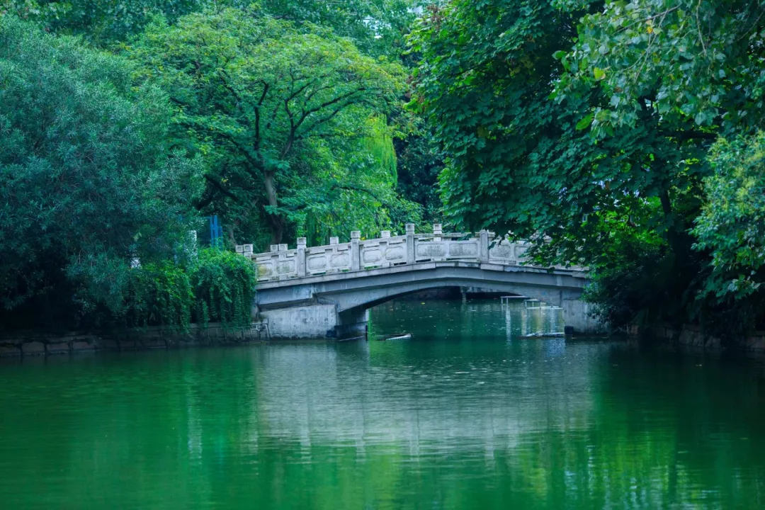 关于读书的唯美诗句：读书不觉已春深，一寸光阴一寸金图片