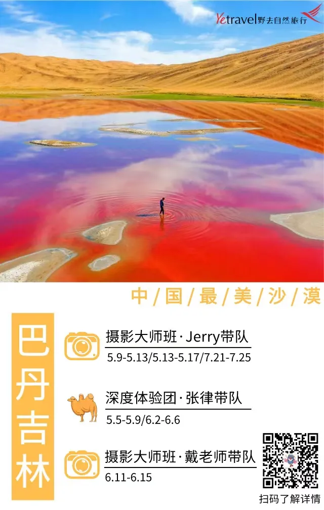 这不仅是中国最美丽的沙漠,可以说是世界最美丽的沙漠