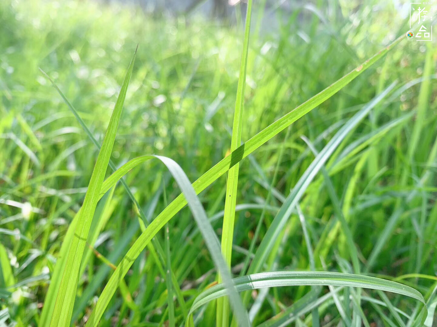 重庆人自己的外滩：九龙坡滨江路，从早到晚都能带给你惊喜