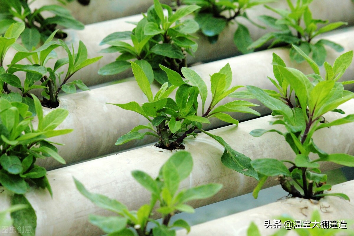 无土立体栽培的几种类型