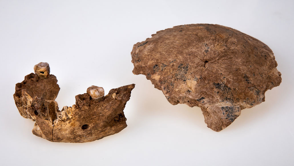 以色列发现未知人类化石，至少生活在 10 万年前