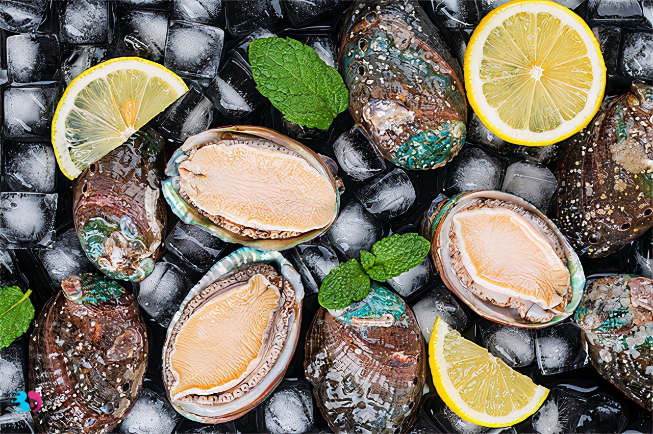 How to slaughter live abalone?How do you choose live and